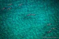 99. The Kimberley<br />Added 10 September 2019